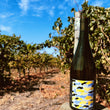 Load image into Gallery viewer, 2024 Camwell Vermentino