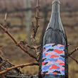 Load image into Gallery viewer, 2023 Aglianico Light Red